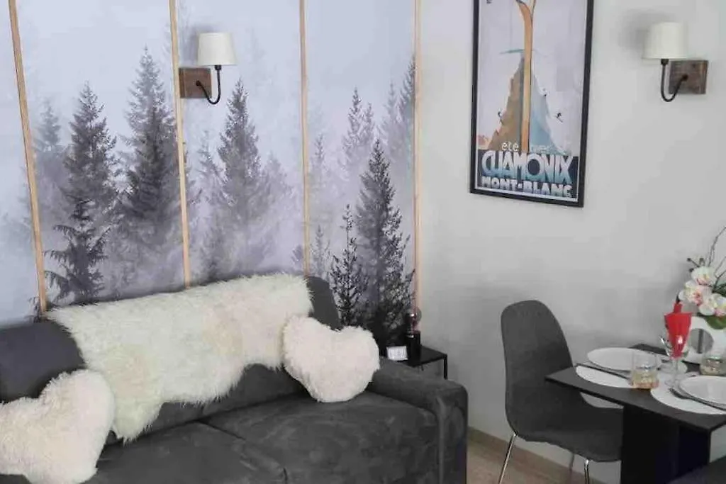 Le Brevent Studio De Charme Au Pied Des Pistes Apartment Chamonix 0*,