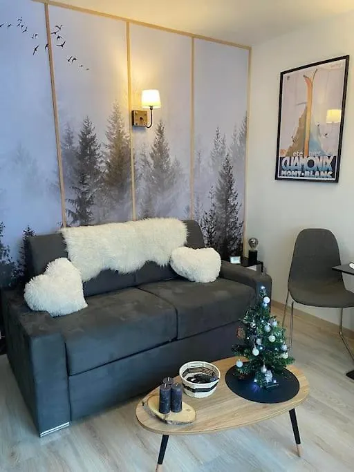 Le Brevent Studio De Charme Au Pied Des Pistes Apartment Chamonix France