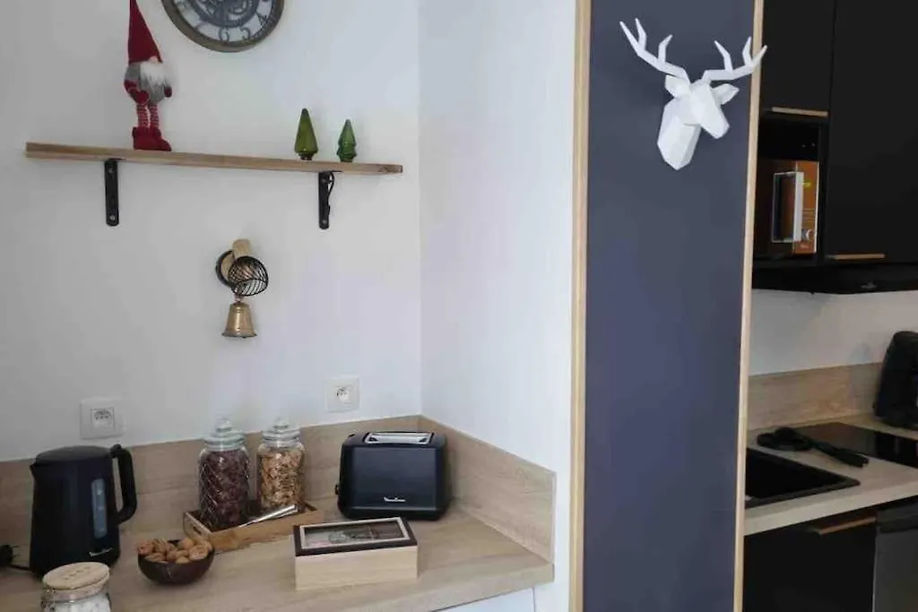 Le Brevent Studio De Charme Au Pied Des Pistes Apartment Chamonix