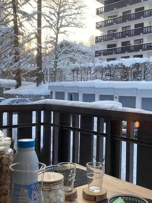 Le Brevent Studio De Charme Au Pied Des Pistes Apartment Chamonix