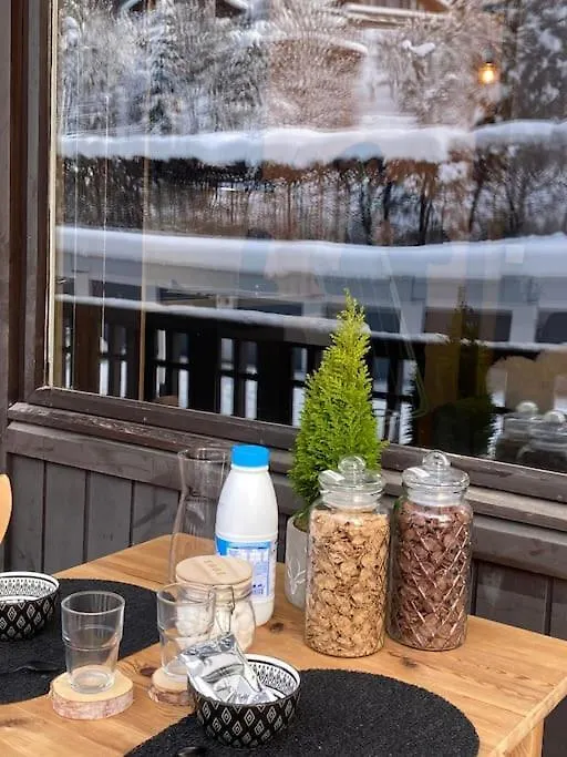 Le Brevent Studio De Charme Au Pied Des Pistes Apartment Chamonix France